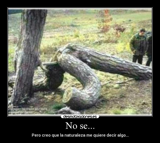 No se... - Pero creo que la naturaleza me quiere decir algo...