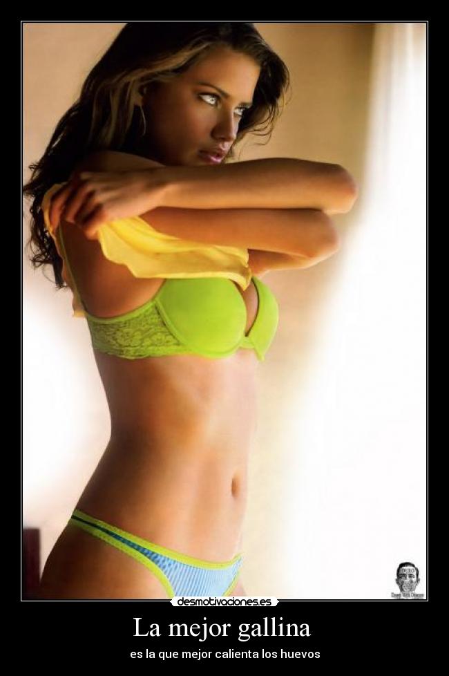 La mejor gallina  - 