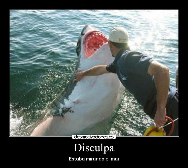 Disculpa - Estaba mirando el mar