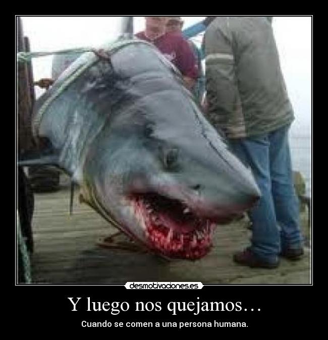 Y luego nos quejamos… - 