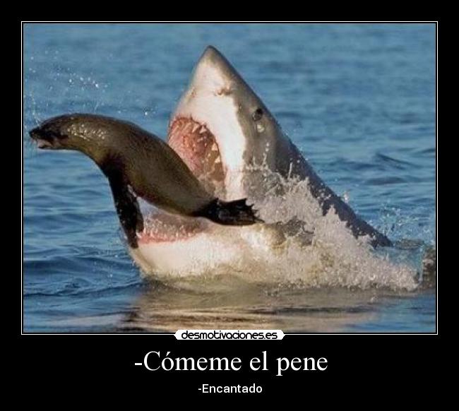 -Cómeme el pene - -Encantado