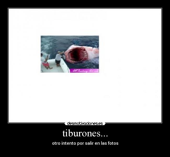 carteles otro intento por salir las fotos desmotivaciones