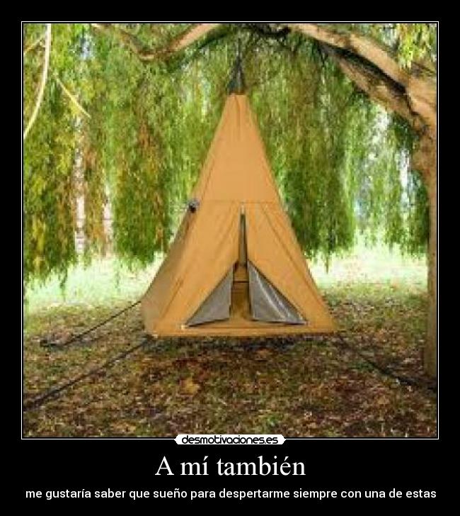 carteles tiendas desmotivaciones