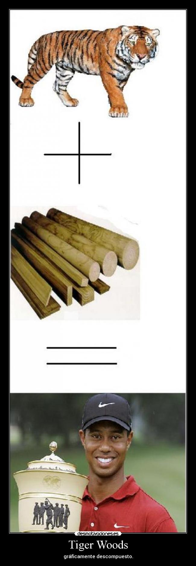Tiger Woods - gráficamente descompuesto.
