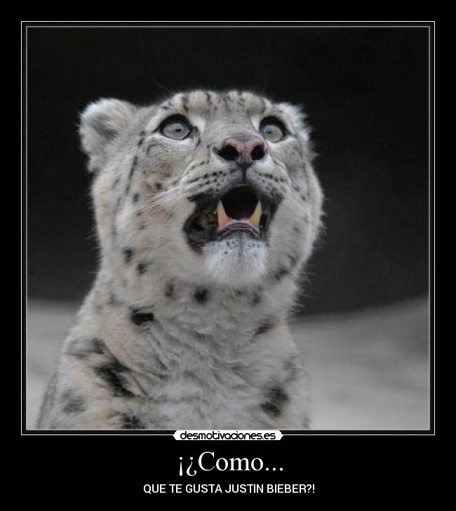 ¡¿Como... -
