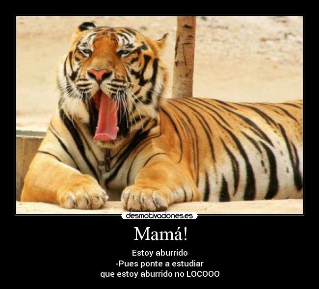 Mamá! -