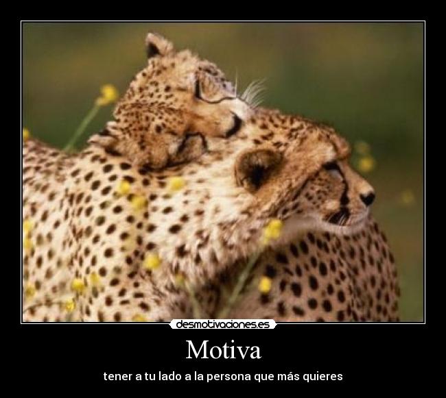 Motiva - tener a tu lado a la persona que más quieres