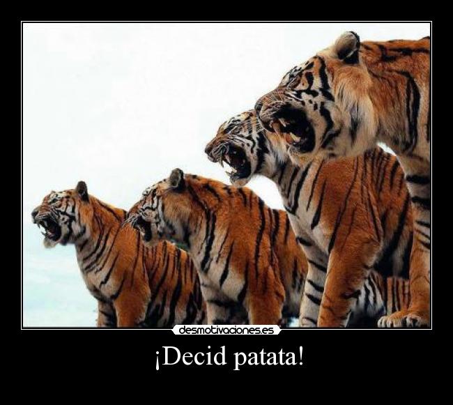 ¡Decid patata! -