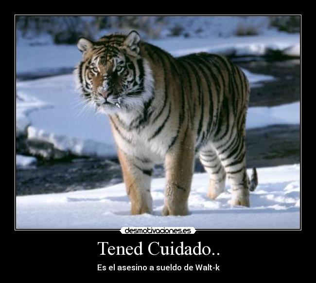 Tened Cuidado.. - Es el asesino a sueldo de Walt-k