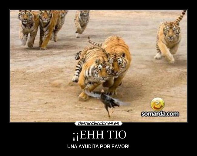 ¡¡EHH TIO - UNA AYUDITA POR FAVOR!!