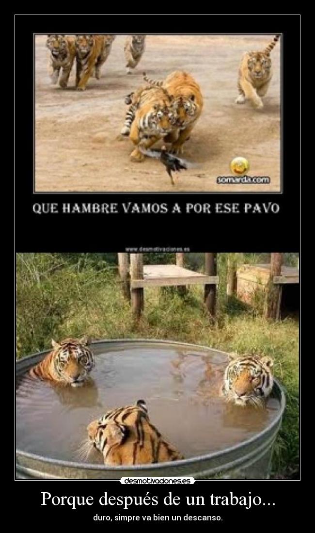 Porque después de un trabajo... - duro, simpre va bien un descanso.