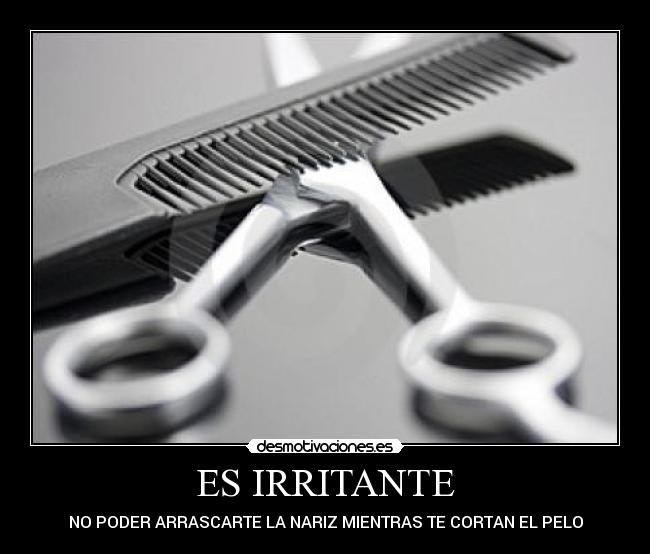 ES IRRITANTE - NO PODER ARRASCARTE LA NARIZ MIENTRAS TE CORTAN EL PELO