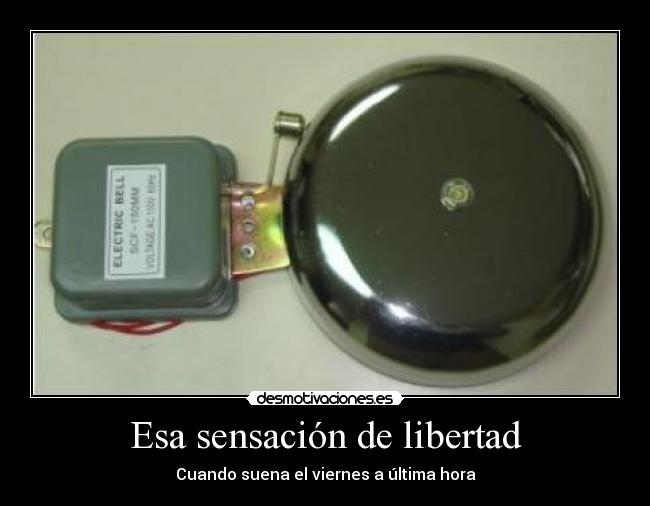 Esa sensación de libertad -