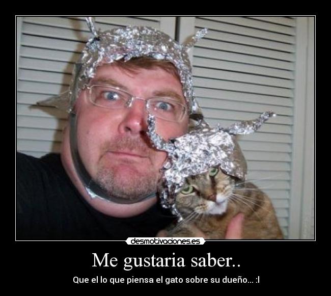 Me gustaria saber.. - 