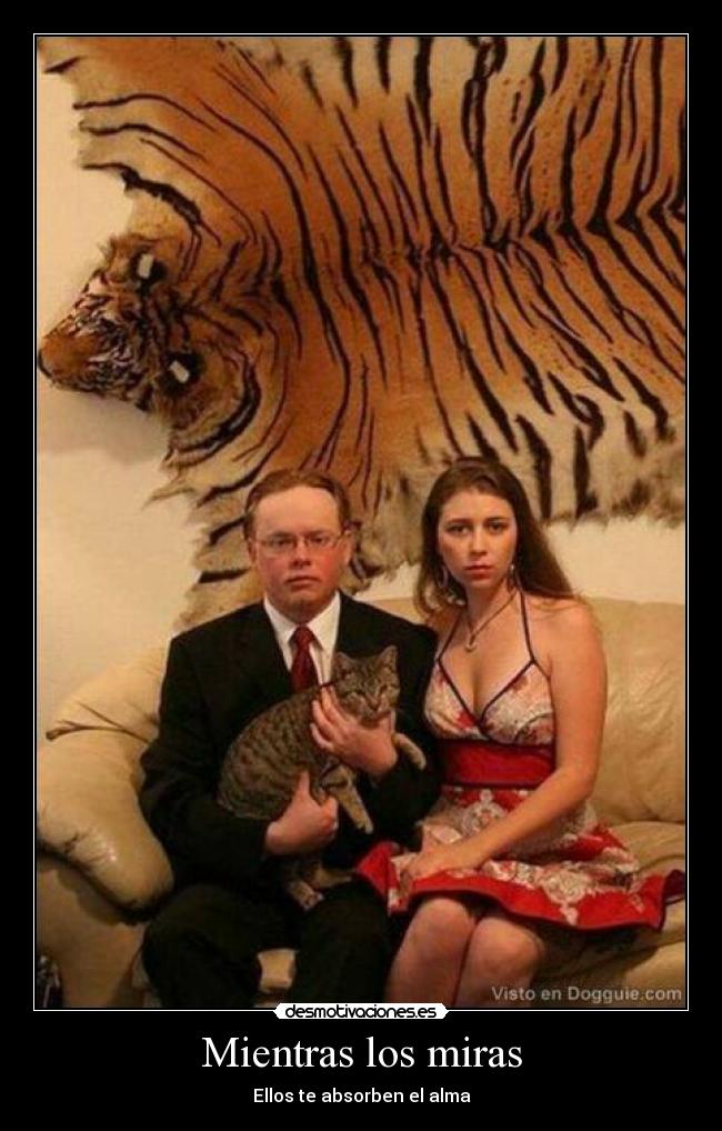 carteles tios raros desmotivaciones