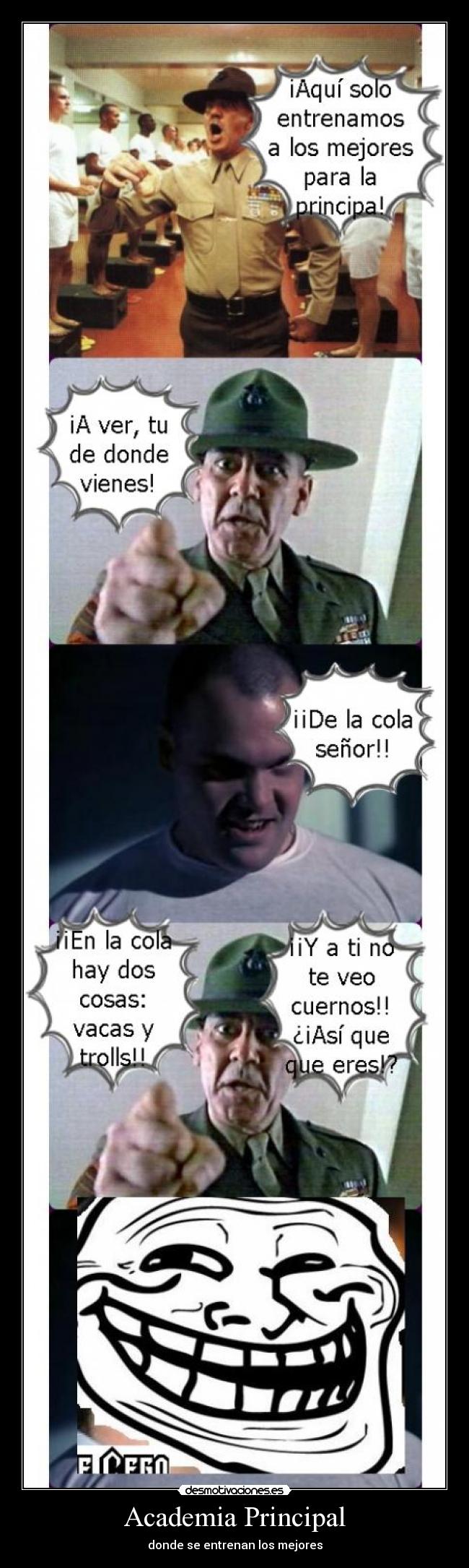 Academia Principal - 