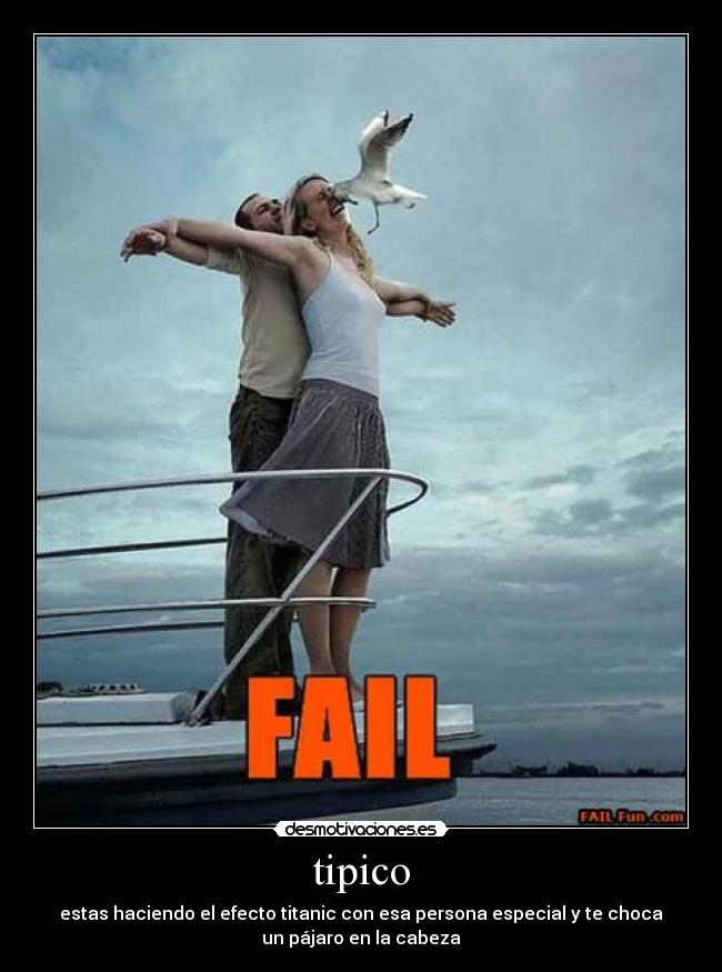 tipico - estas haciendo el efecto titanic con esa persona especial y te choca
un pájaro en la cabeza