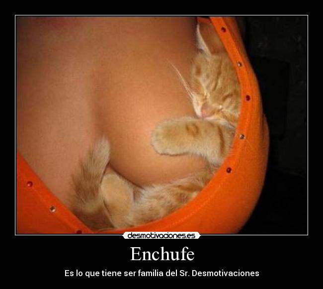 Enchufe - Es lo que tiene ser familia del Sr. Desmotivaciones
