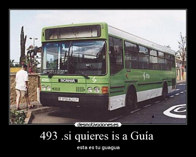 493 .si quieres is a Guía  - esta es tu guagua