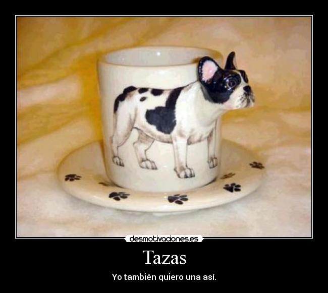 Tazas -