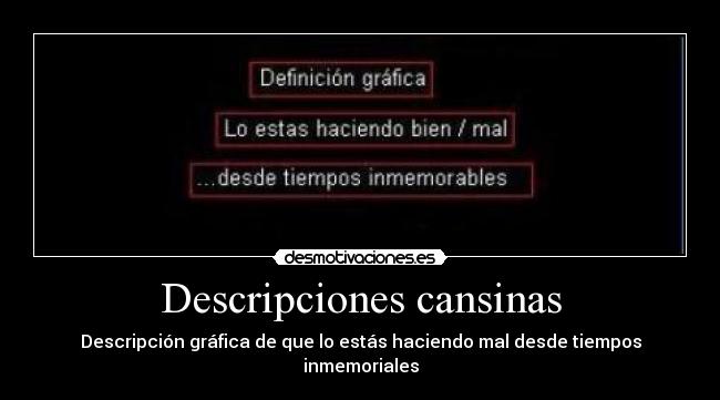 Descripciones cansinas -