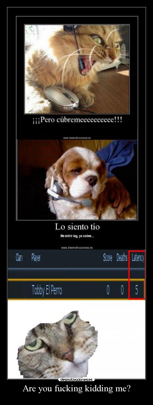 Are you fucking kidding me? -