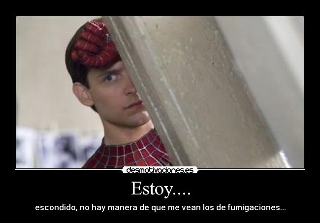 Estoy.... - escondido, no hay manera de que me vean los de fumigaciones...