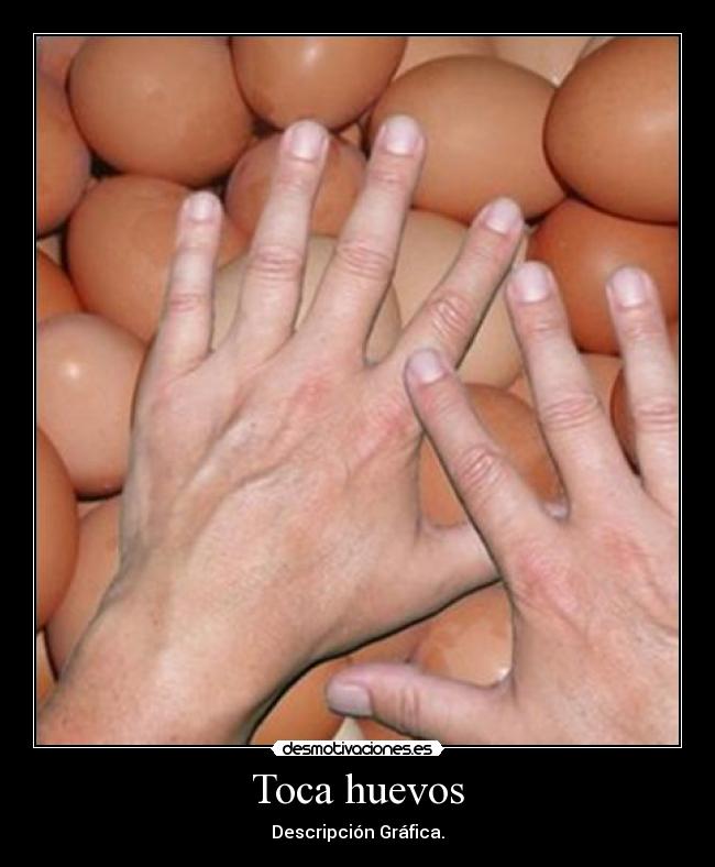 Toca huevos - Descripción Gráfica.