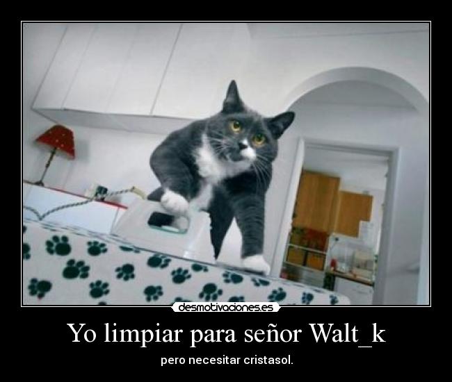 Yo limpiar para señor Walt_k -