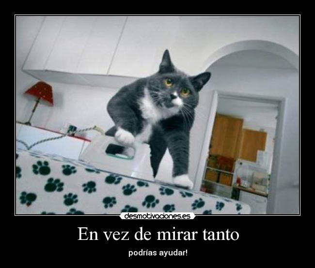 En vez de mirar tanto - 