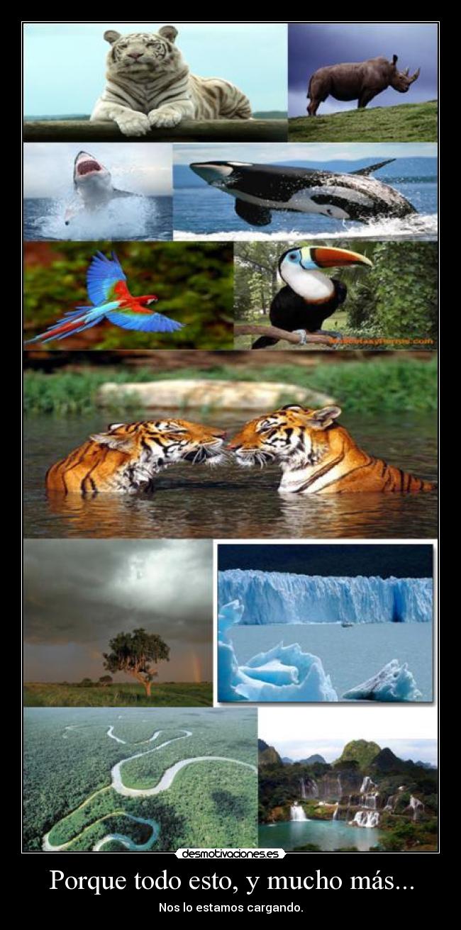 carteles paisaje desmotivaciones