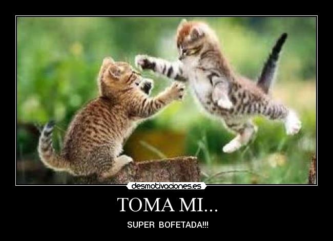 TOMA MI... -  SUPER  BOFETADA!!!