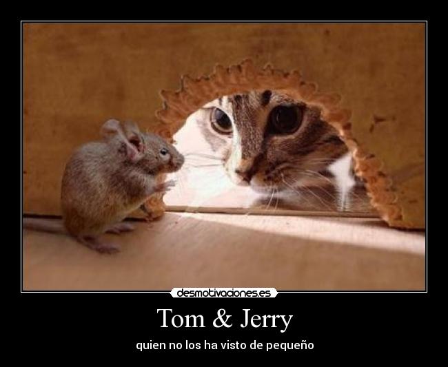 Tom & Jerry - 