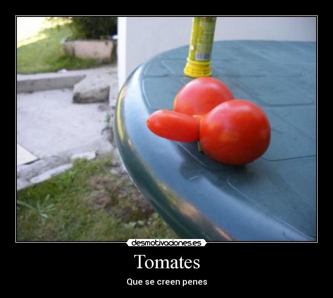 Tomates - Que se creen penes