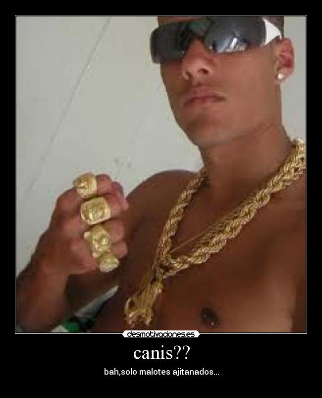 canis?? - bah,solo malotes ajitanados...