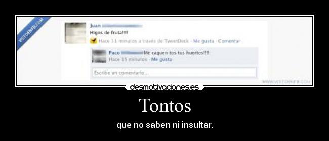 Tontos - 
