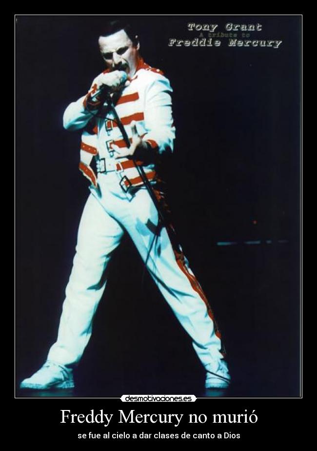 Freddy Mercury no murió - 