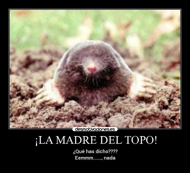 ¡LA MADRE DEL TOPO! - 