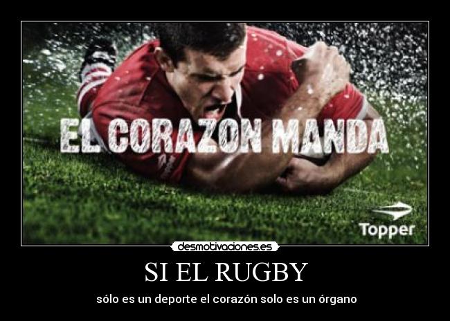 SI EL RUGBY -