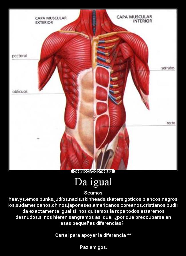 Da igual - Seamos
heavys,emos,punks,judíos,nazis,skinheads,skaters,goticos,blancos,negros,
rastas,canis,pijos,sudamericanos,chinos,japoneses,americanos,coreanos,cristianos,budistas,ateos,skas
da exactamente igual si nos quitamos la ropa todos estaremos
desnudos,si nos hieren sangramos asi que...¿por que preocuparse en
esas pequeñas diferencias?
Cartel para apoyar la diferencia ^^
Paz amigos.