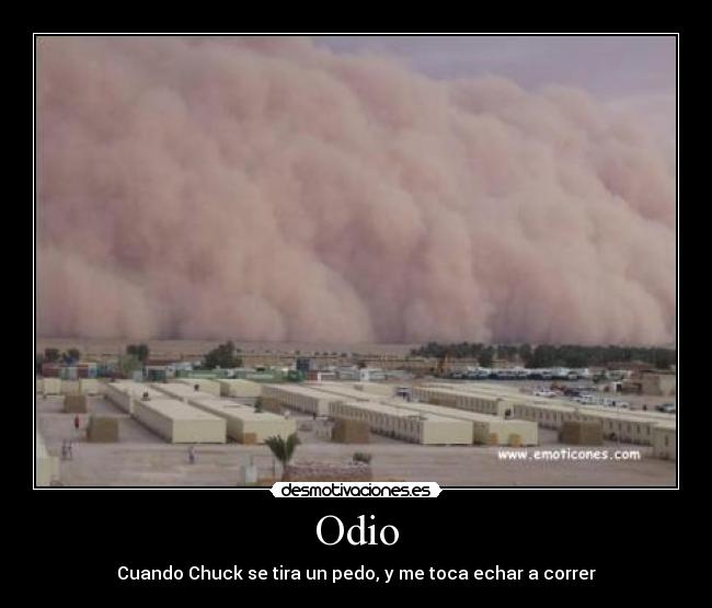 Odio -