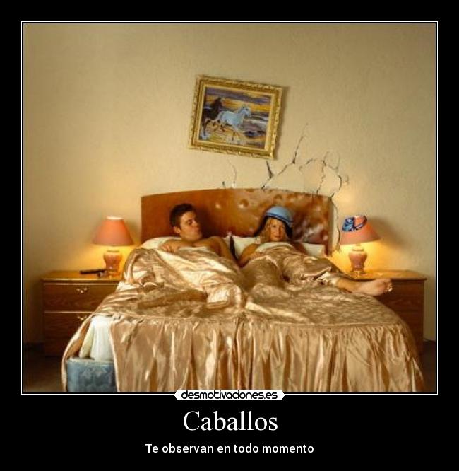 Caballos -