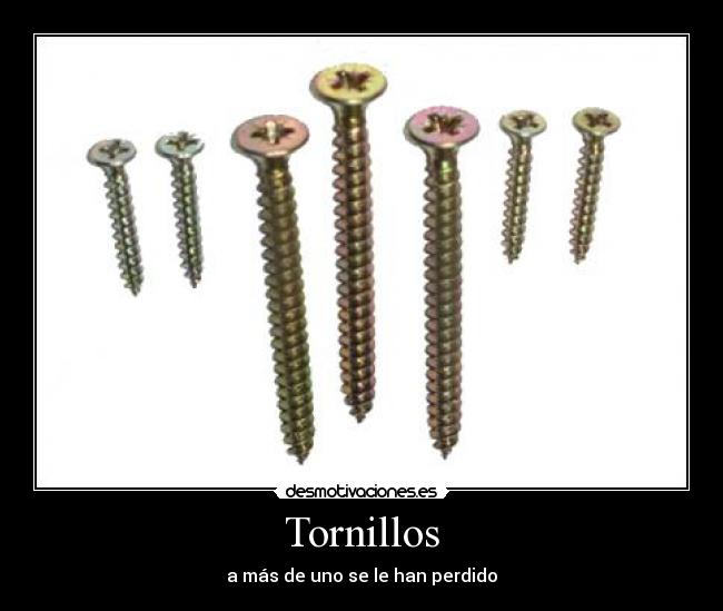 Tornillos - a más de uno se le han perdido