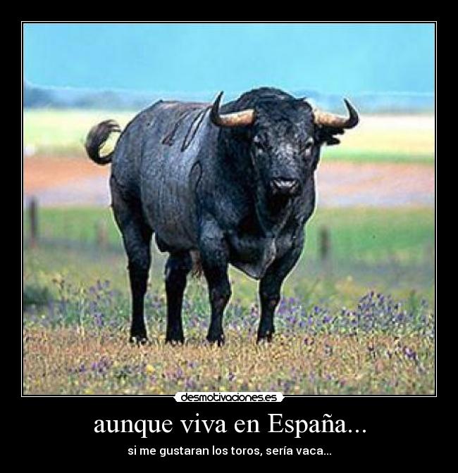 aunque viva en España... -