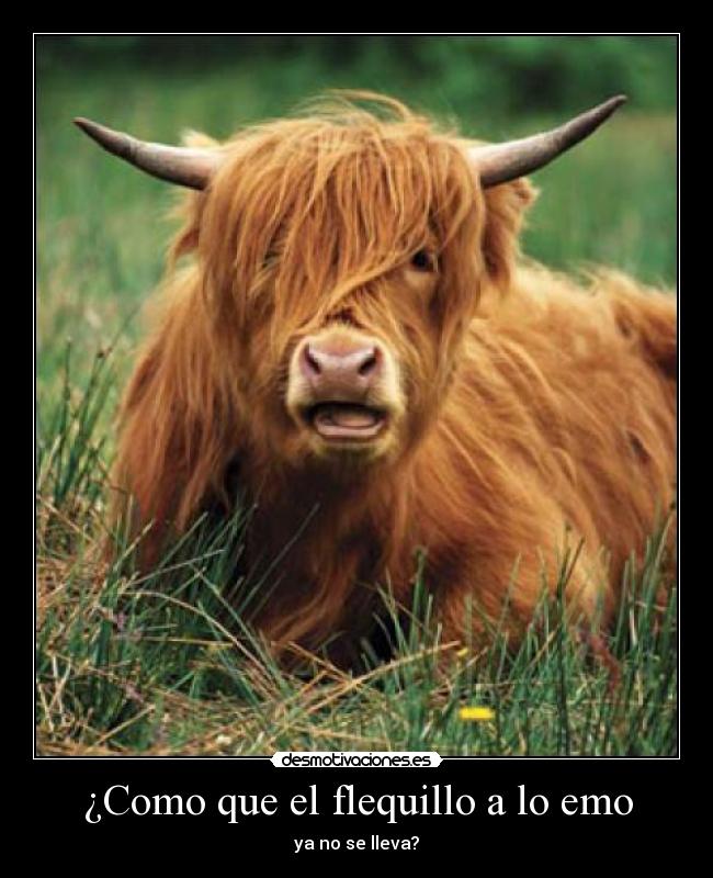 ¿Como que el flequillo a lo emo -