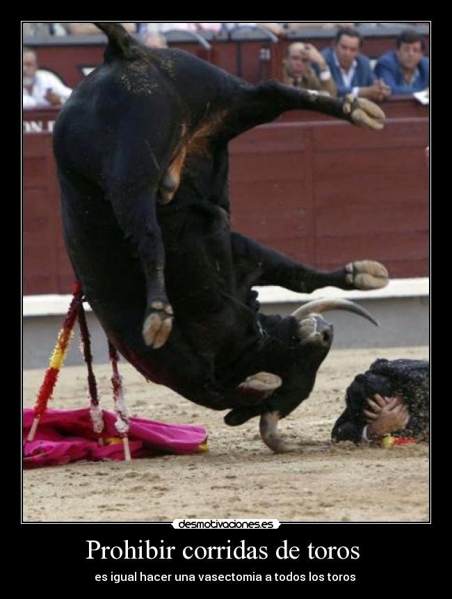 Prohibir corridas de toros -