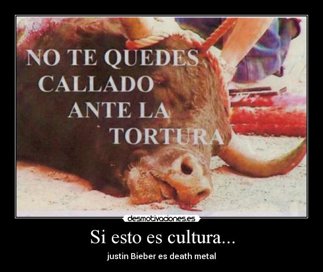Si esto es cultura... - 