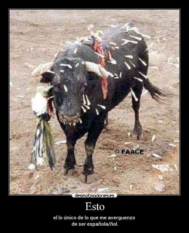Esto - el lo único de lo que me averguenzo
de ser española/ñol.