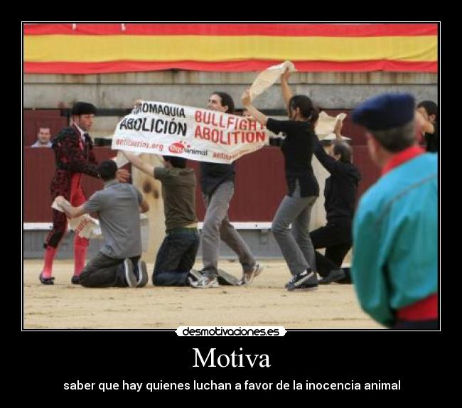 Motiva - saber que hay quienes luchan a favor de la inocencia animal