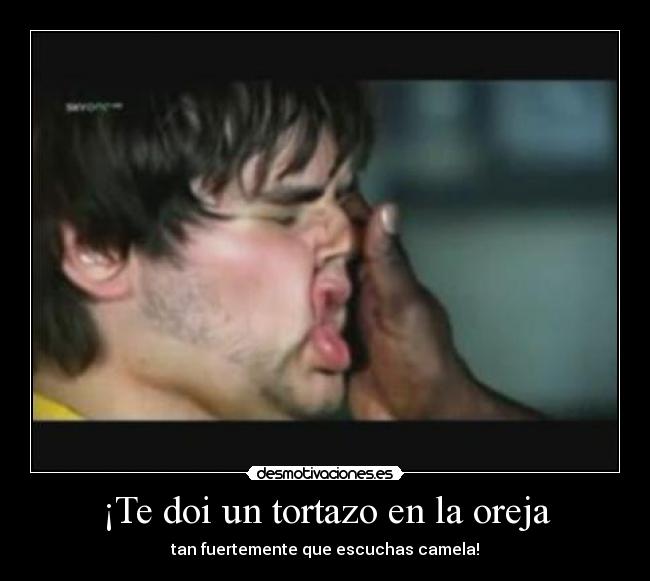 ¡Te doi un tortazo en la oreja - tan fuertemente que escuchas camela!